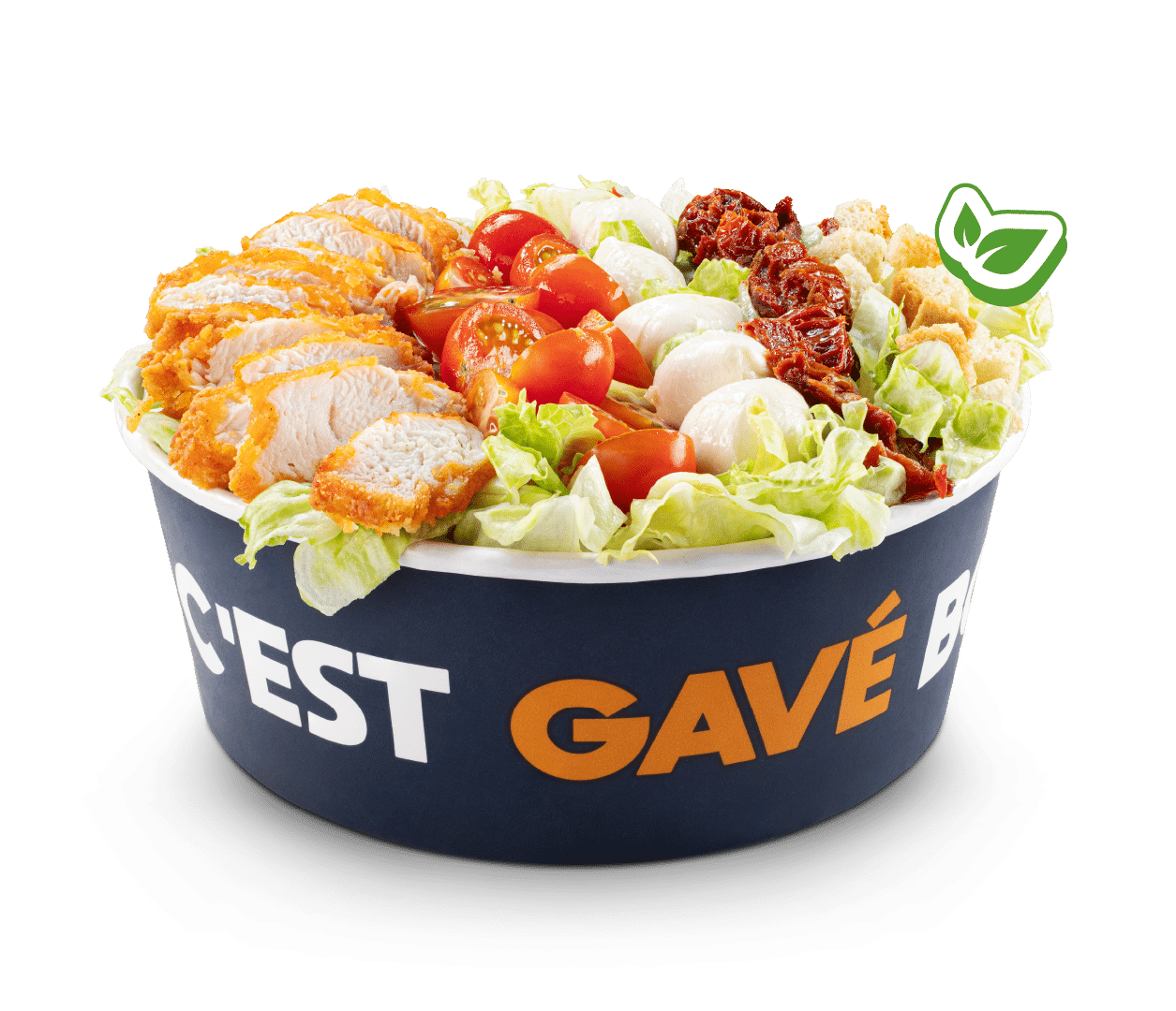 PHOTO PRODUIT SEUL SALADE VEGG'