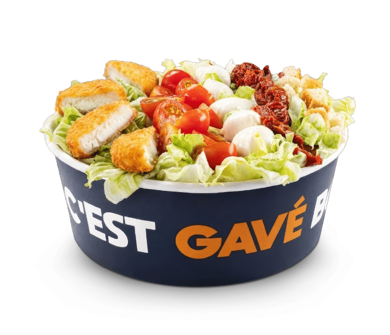 PHOTO PRODUIT SEUL SALADE CHÈVRE